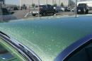 jan_2010_long_beach_swap_037