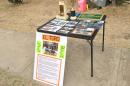 revolution_2010_austin_texas023