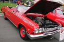 john_force_car_show_2010_025