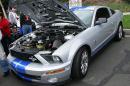 john_force_car_show_2010_140