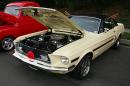 john_force_car_show_2010_146