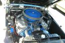 fabulous_ford_2011_-_343