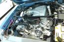 fabulous_ford_2011_-_358