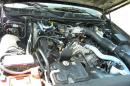 fabulous_ford_2011_-_370