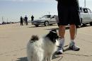 drag_week_2011_day_two_208