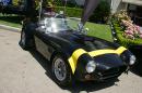 ford-cobra-shelby-reunion-142
