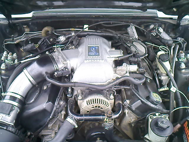 DOHC 4.6 in a Fox-body Mustang