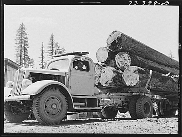 loaded logging truck