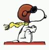 88 Dippy's Avatar