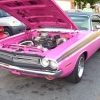 panther_pink_challenger