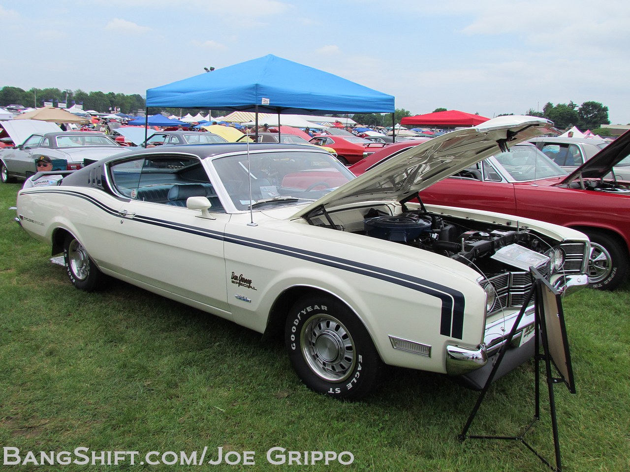 Carlisle all ford nationals 2013 #3
