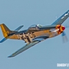 P-51D Mustang zx MIKE0231 copy