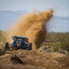 The mint 400 photography