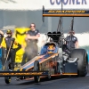 NHRA_Winternationals_2018_0580