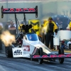 NHRA Winternationals  2019 375