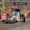 TF Antron Brown MIKE0346