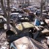 starks_wrecking_company_junkyard_15