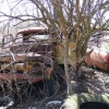 starks_wrecking_company_junkyard_34