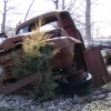 starks_wrecking_company_junkyard_78