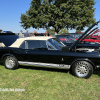 10-22 AACA HERSHEY FALL MEET - CAR SHOW - (232)