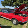 10-22 AACA HERSHEY FALL MEET - CAR SHOW - (236)