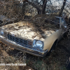 Car Lot Abondoned Hot Rods 036