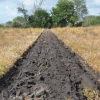 Big Rock Illinois Plowing 46