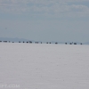 bonneville_speed_week_2013_scta_hot_rod_salt_bni_coupe_monza_streamliner_race_car177