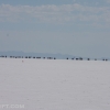 bonneville_speed_week_2013_scta_hot_rod_salt_bni_coupe_monza_streamliner_race_car178