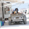 Bonneville Speed Week 2016 Race Cars  _0192