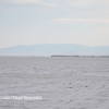 Bonneville Speed Week 2017 Sunday Chad Reynolds-087