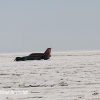 Bonneville Speed Week 2024 Chad Reynolds 0326