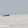 Bonneville Speed Week 2024 Chad Reynolds 0333