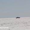 Bonneville Speed Week 2024 Chad Reynolds 0281