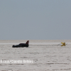 Bonneville Speed Week 2024 Claudia Robles0049