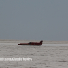 Bonneville Speed Week 2024 Claudia Robles0053