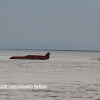 Bonneville Speed Week 2024 Claudia Robles0054