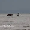 Bonneville Speed Week 2024 Claudia Robles0057