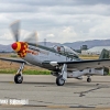 P-51-Mustang-(warming-up)-x--MIKE0110 copy