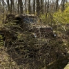 hidden_pa_junkyard_reo_gmc_sedan_delivery29