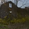 hidden_pa_junkyard_reo_gmc_sedan_delivery45