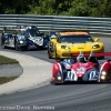 corvette_racing_alms_lime_rock_201242