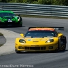 corvette_racing_alms_lime_rock_201245