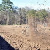 dirty-gras-down-south-off-road-park-2014-jeep-mud-bog-mud-drags234