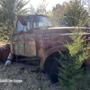 11-22 FLEMINGS PUMPKIN RUN - JUNKYARD - (17)