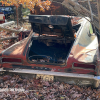 11-22 FLEMINGS PUMPKIN RUN - JUNKYARD - (20)