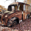 11-22 FLEMINGS PUMPKIN RUN - JUNKYARD - (26)