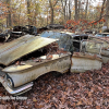 11-22 FLEMINGS PUMPKIN RUN - JUNKYARD - (30)