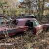 11-22 FLEMINGS PUMPKIN RUN - JUNKYARD - (43)