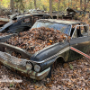 11-22 FLEMINGS PUMPKIN RUN - JUNKYARD - (55)